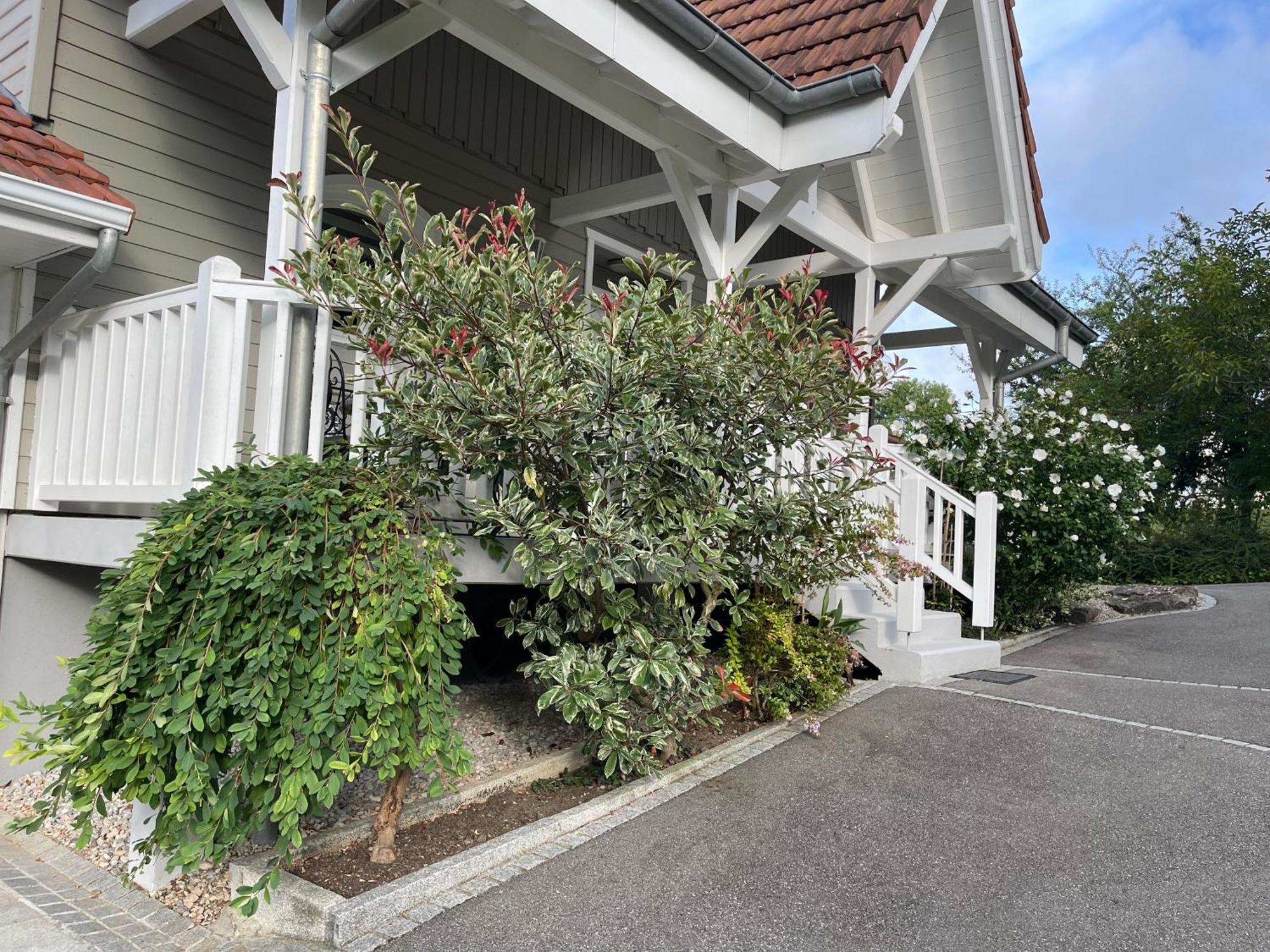 Hotel Tulipes Et Cetera Waldighoffen Exterior foto